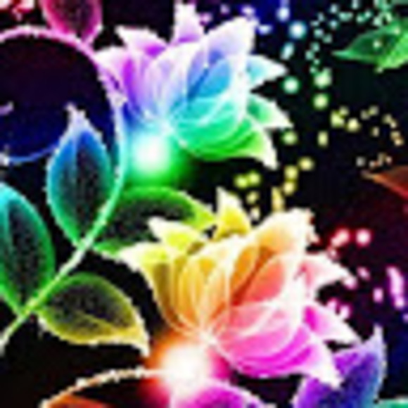 Meet your Posher, Gia - Picture 2 of 2